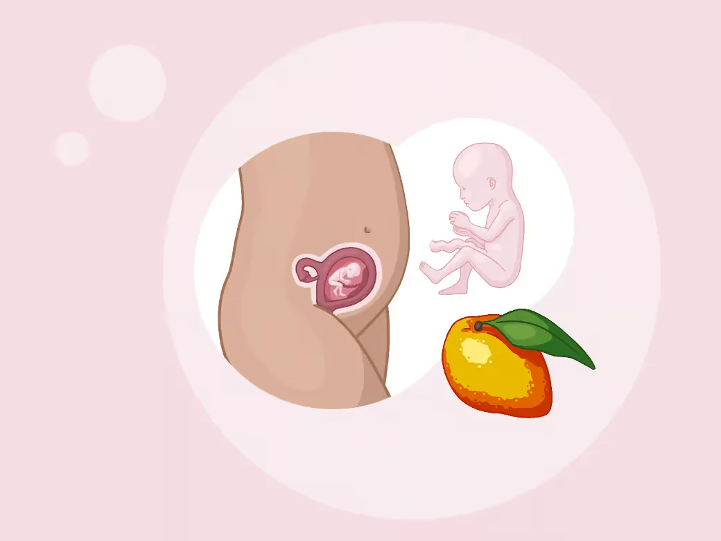 Baby ein im mutterleib neben einer orange.