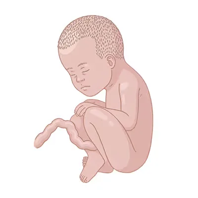 Baby ein, das auf dem boden sitzt, mit den händen.