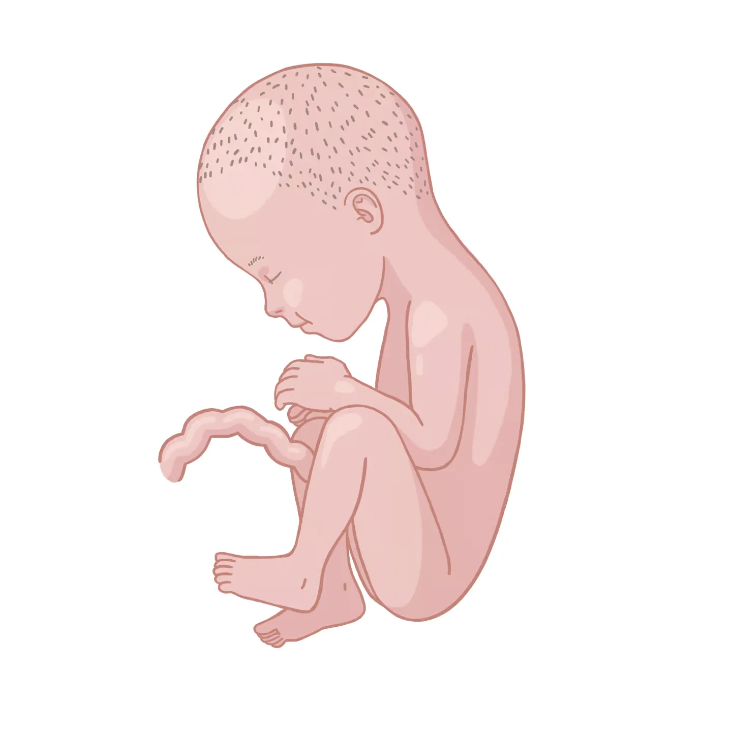 Baby ein, das mit den händen auf den knien auf.