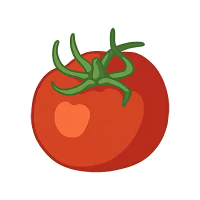 Tomate eine auf weißem hintergrund.