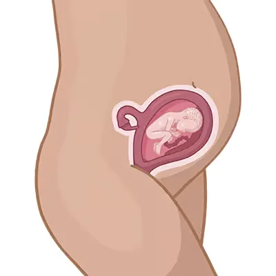 Magen der einer frau mit einem kleinen int im.